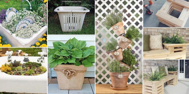 7678632 Garden Container Ideas