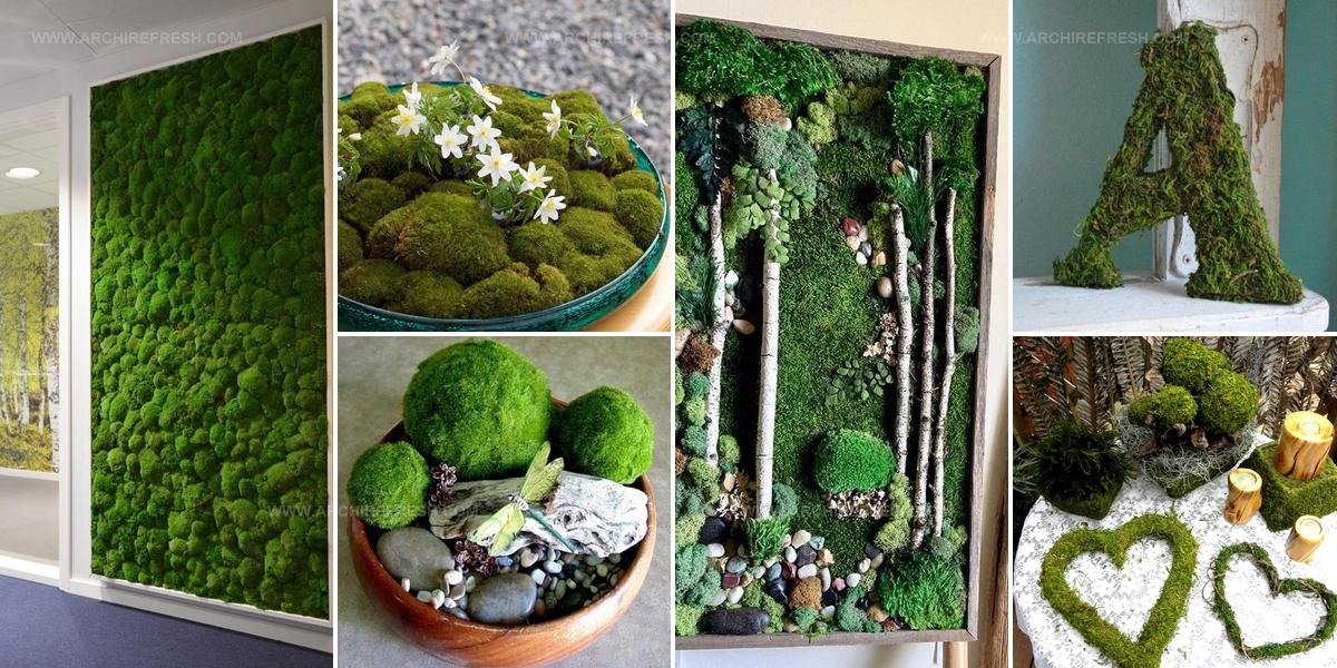 8554684 Spring Moss Decor Ideas