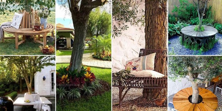 2764520 Space Around Tree Styling Ideas