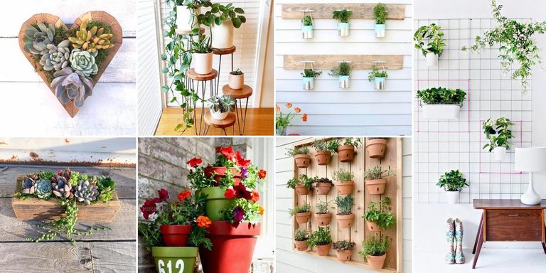 7182928 Potted Plant Arrangement Ideas