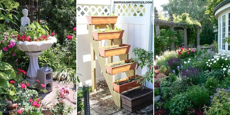 9483261 Backyard Gardening Ideas