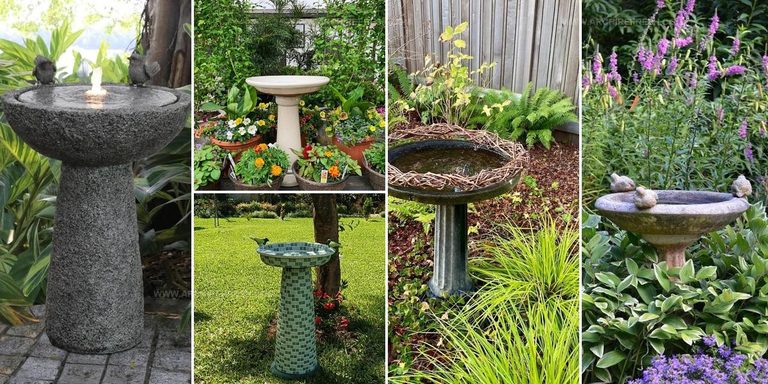 9900594 Inspiring Bird Bath Landscaping Ideas