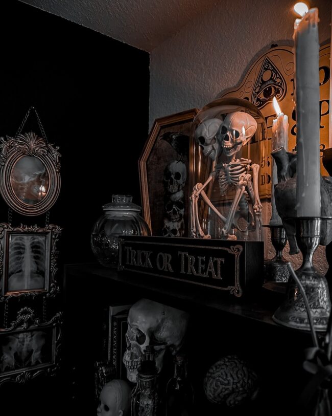 Stylized Skeleton Display