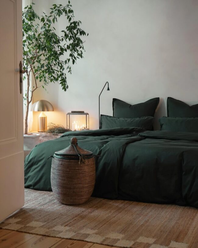 Botanical Calm for Every Space