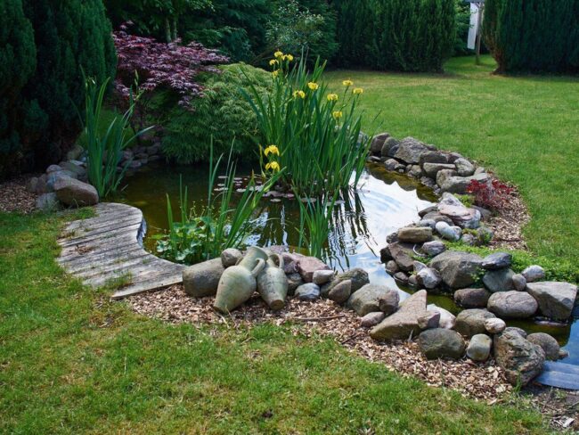 Reflective Garden Pond