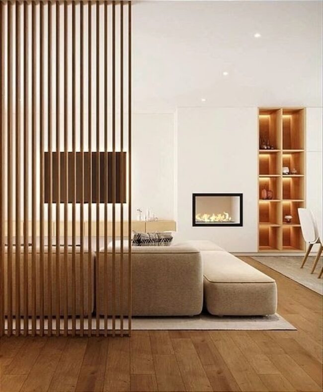 Functional TV Partition with Style