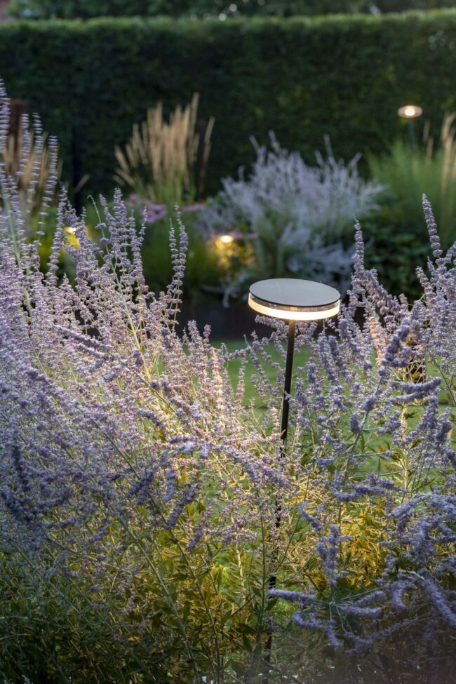 A Garden Painted in Light