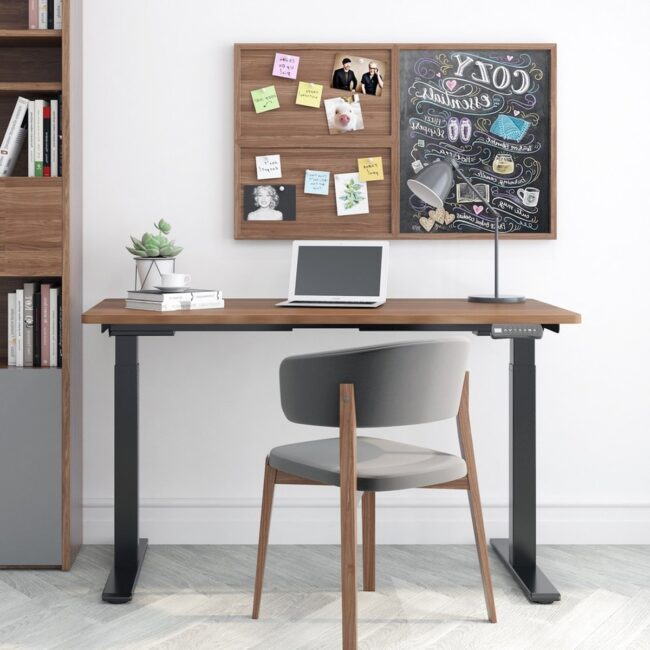 Compact Creative Studio