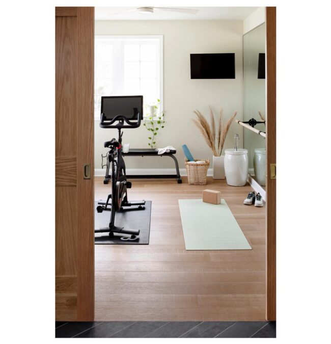 Calm and Efficient Home Workout Area