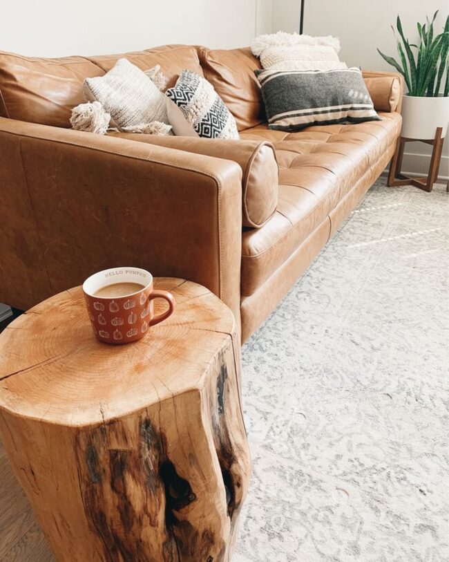 Cozy Corner with a Tan Leather Sofa