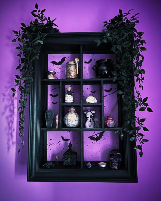 Whimsical Shelf Arrangement in Gothic Style